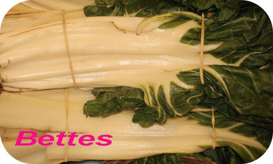 Bettes ou Blettes -- 26/04/08