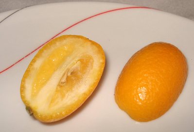 Kumquat -- 08/02/07