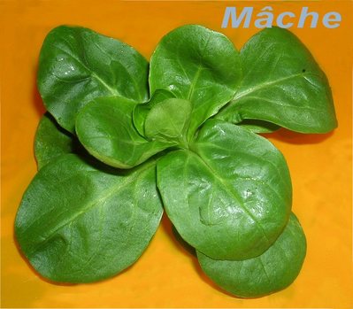 M�che -- 20/01/07