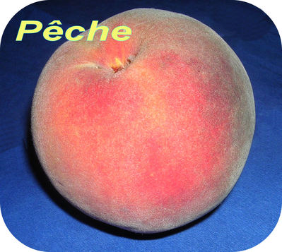 P�che -- 28/07/08