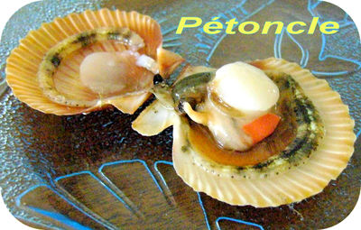 P�toncle -- 31/08/08