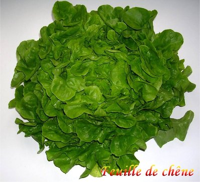 Feuille de Ch�ne -- 09/03/13