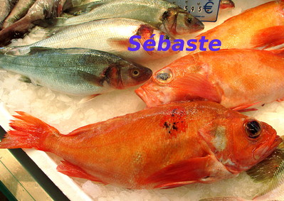S�baste -- 09/12/13