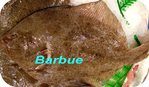 Barbue -- 31/10/07