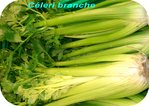 C�leri-branche -- 14/11/07