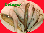 C�teau -- 22/06/14
