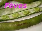 F�ve -- 17/05/10