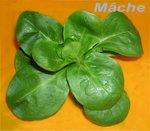 M�che -- 20/01/07