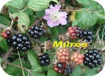 M�re -- 04/09/07