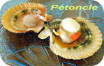 P�toncle -- 31/08/08