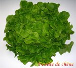 Feuille de Ch�ne -- 09/03/13