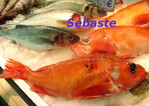 S�baste -- 09/12/13